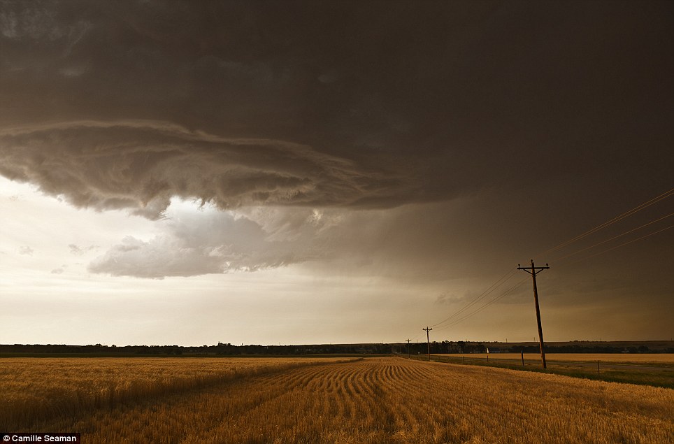 ��Ӱʦ��׽�������������𺳱���