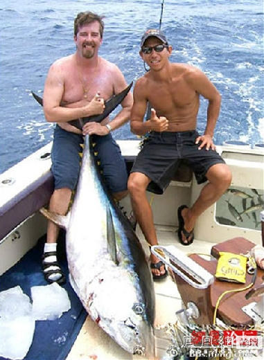 ������������� �������ޱ�_����Ȥ��