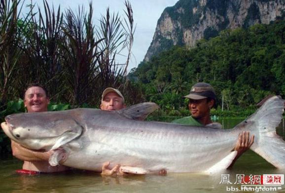 ������������� �������ޱ�_����Ȥ��