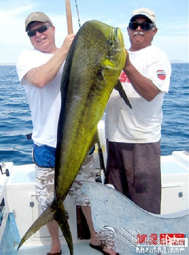 ������������� �������ޱ�_����Ȥ��