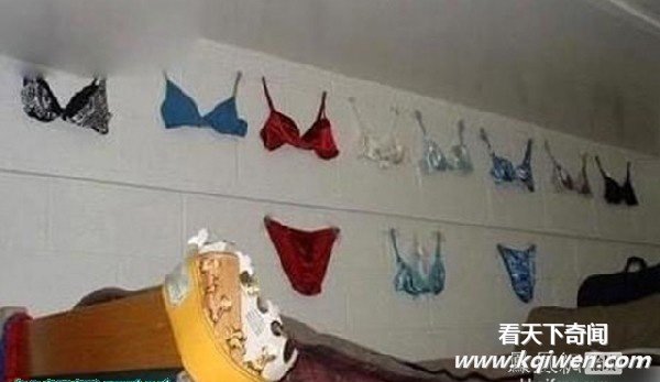 ���ڵ�Ů��ѧ���ޱȷ�� Ұ��ʮ��(��ͼ)